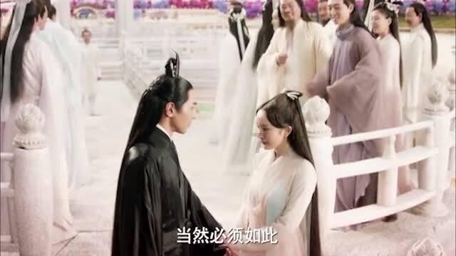 Iphone手机装扮